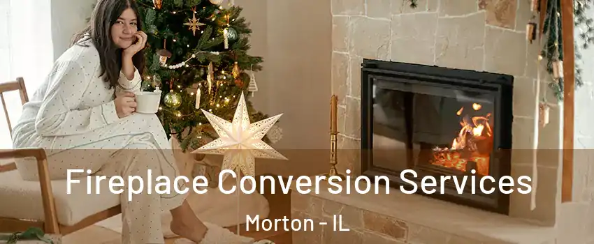  Fireplace Conversion Services Morton - IL