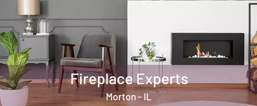  Fireplace Experts Morton - IL