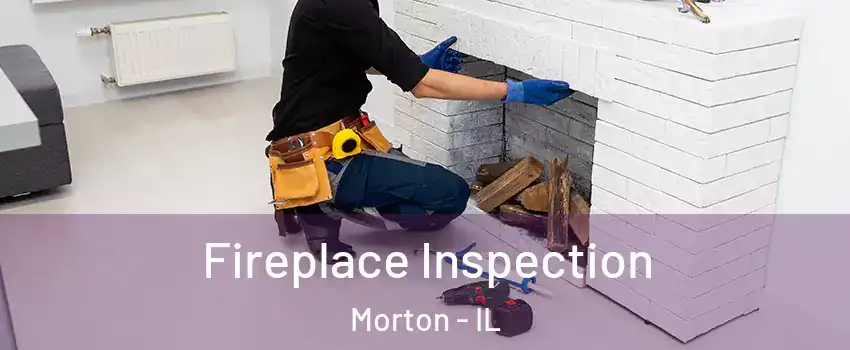  Fireplace Inspection Morton - IL