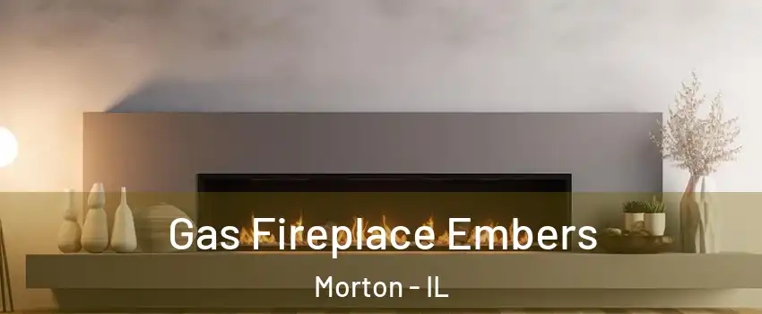  Gas Fireplace Embers Morton - IL