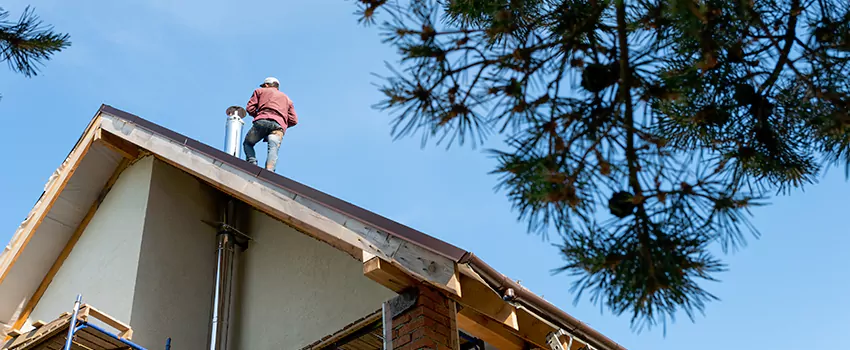 Birds Removal Contractors from Chimney in Morton, IL