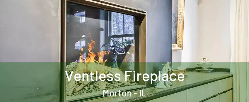  Ventless Fireplace Morton - IL